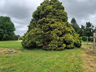 Maison - 140 m² - 9 pièces