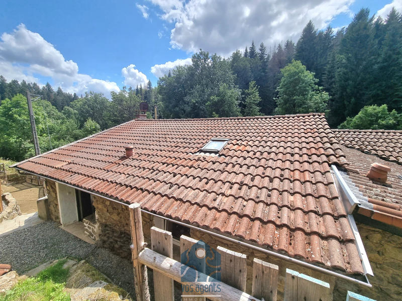 Propriété - 250 m² - 8 pièces