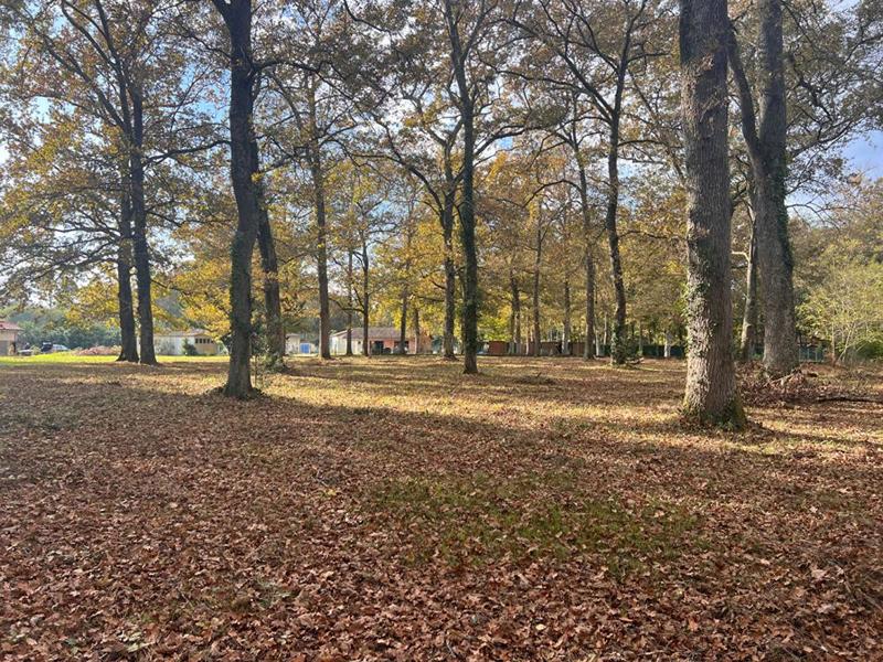 Terrain constructible - 3 600 m²