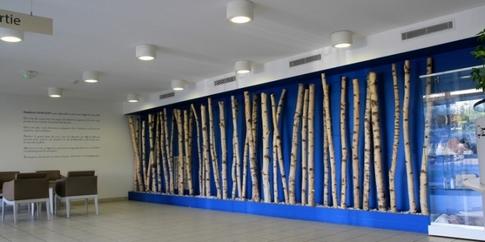 Chambre - 19 m² - 1 pièce