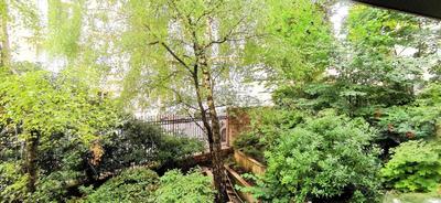 Studio - 14 m² - 1 pièce