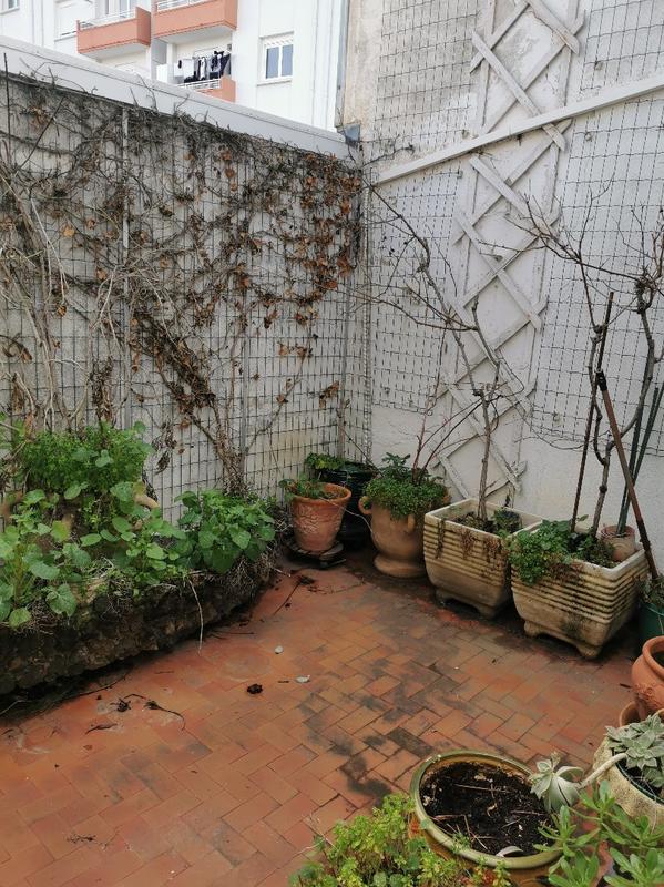 Maison - 164 m² - 5 pièces