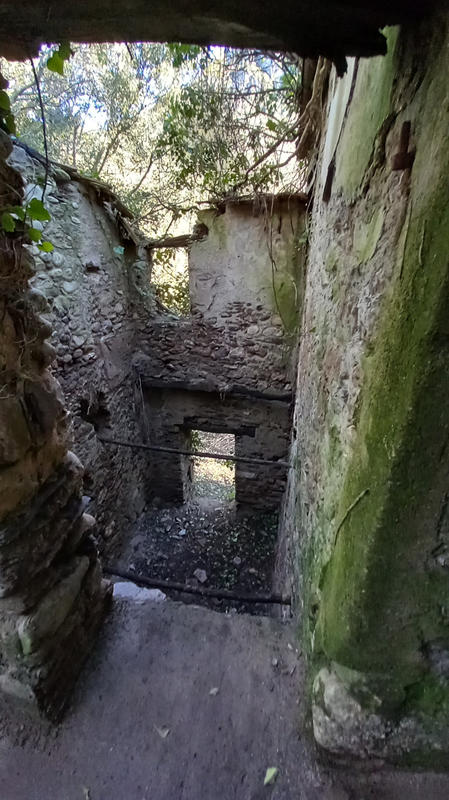 Terrain de loisirs - 31 439 m²