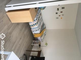 Appartement - 29 m² - 1 pièce