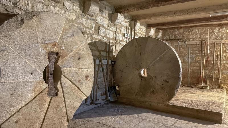 Moulin - 251 m² - 8 pièces