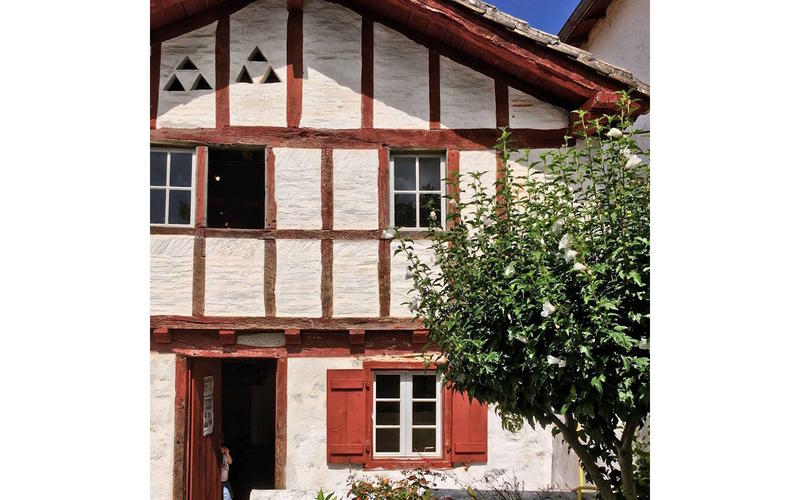 Exposition "Ode à la Terre"