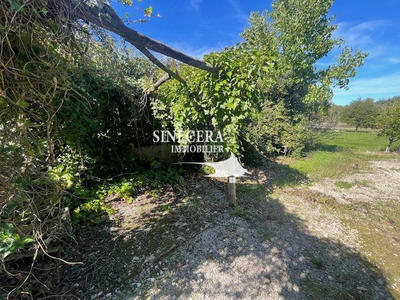 Maison - 340 m² - 5 pièces