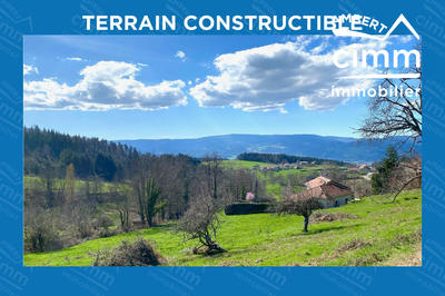 Terrain - 2 979 m²