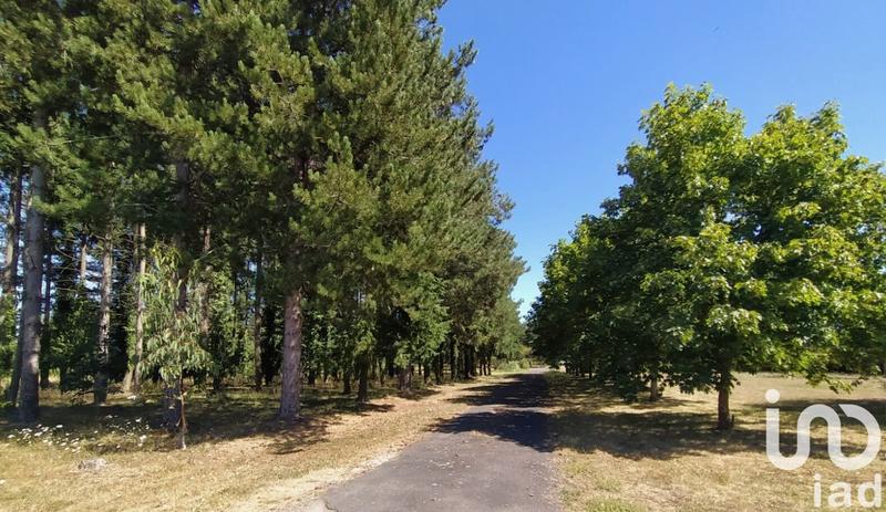 Maison de campagne - 83 m² - 4 pièces