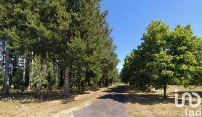 Maison de campagne - 83 m² - 4 pièces