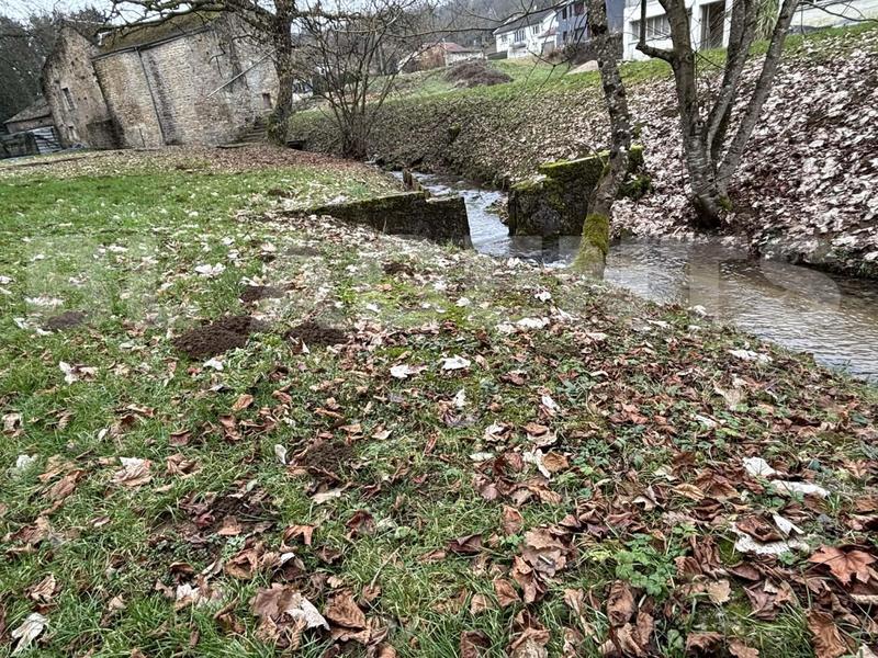 Maison bourgeoise - 228 m² - 8 pièces