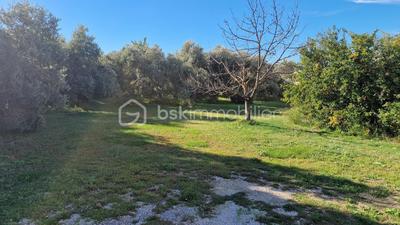 Terrain constructible - 430 m²