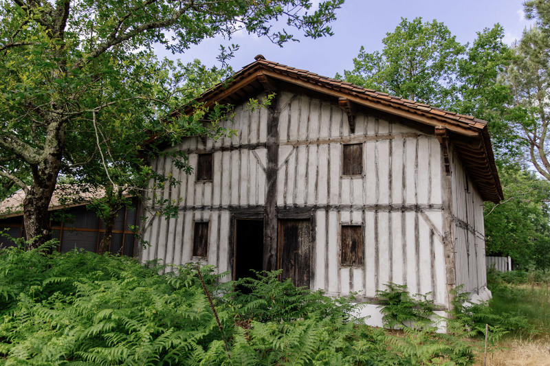 Journée découverte du Conservatoire des Landes de Gascogne