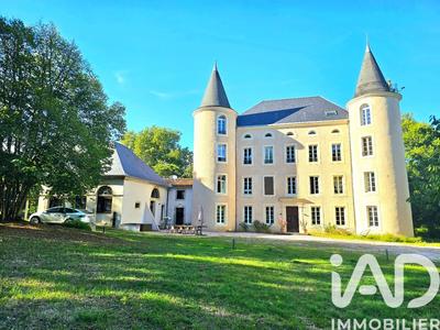 Château - 900 m² - 17 pièces
