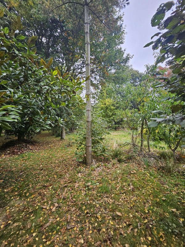 Maison - 126 m² - 6 pièces