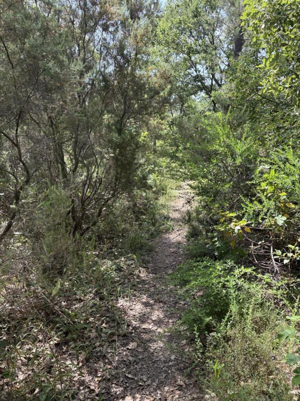 Terrain agricole - 80 000 m²