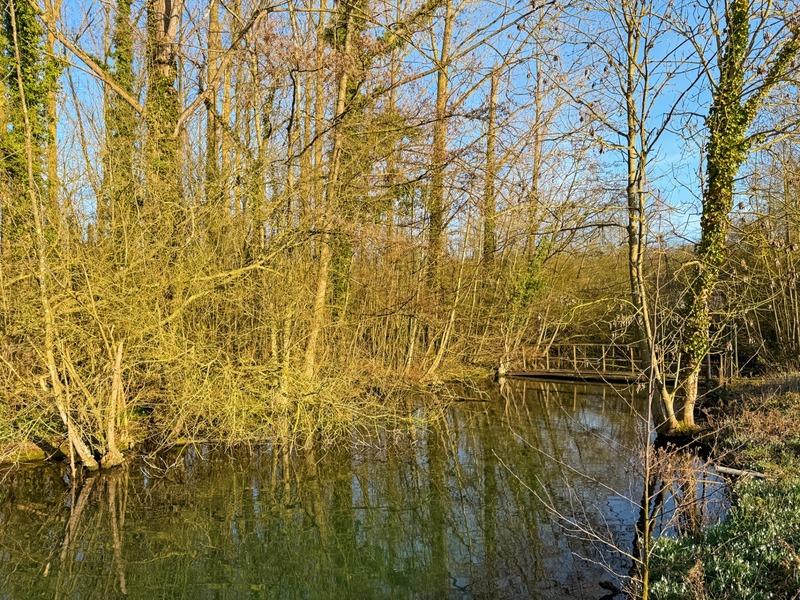 Maison bourgeoise - 173 m² - 7 pièces