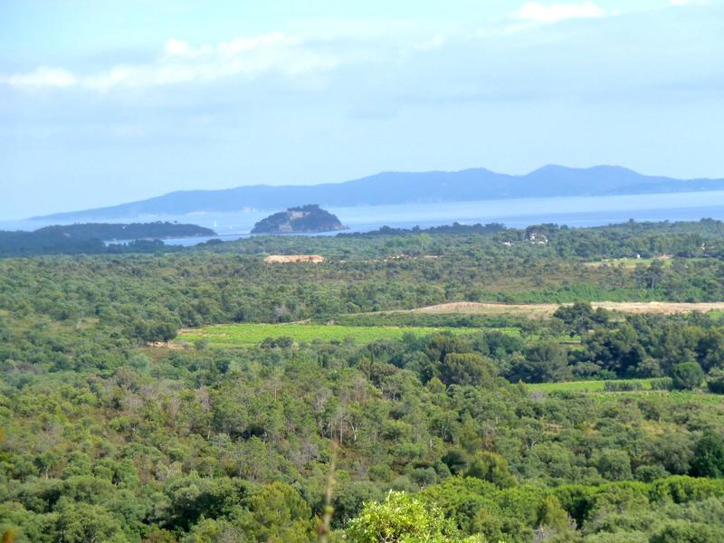 Terrain - 18 269 m²