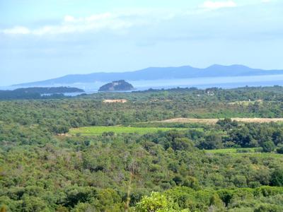 Terrain - 18 269 m²