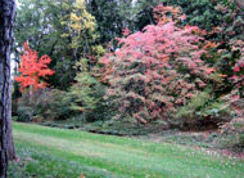 Parc Botanique de la Fosse