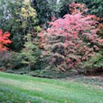 Parc Botanique de la Fosse