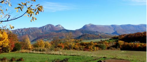 La Roulotte du Panicaut