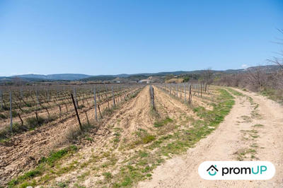 Terrain agricole - 41 115 m²