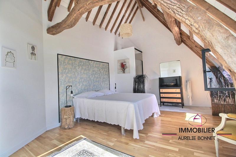 Maison ancienne - 380 m² - 12 pièces