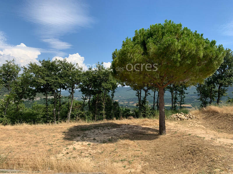 Maison - 240 m² - 5 pièces