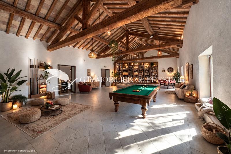 Château - 600 m² - 10 pièces