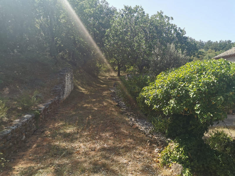 Mas - 250 m² - 7 pièces