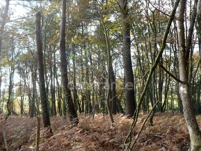 Terrain - 14 360 m²