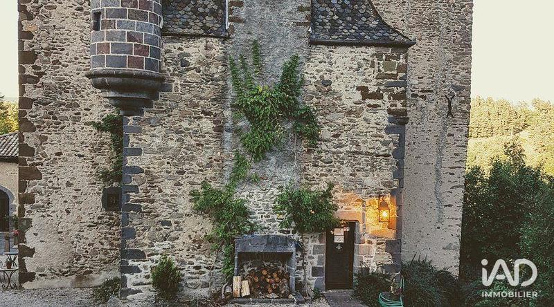 Château - 700 m² - 21 pièces