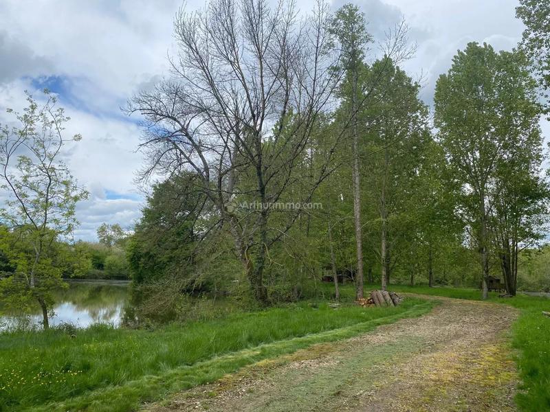 Terrain - 16 275 m²