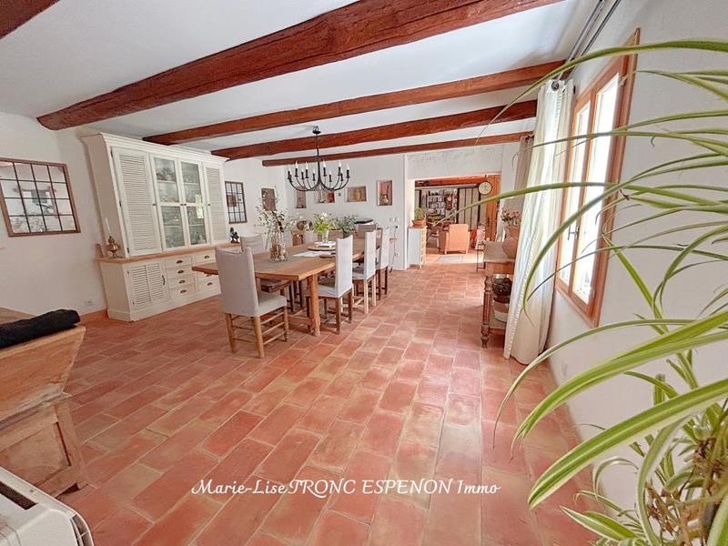 Mas - 273 m² - 10 pièces