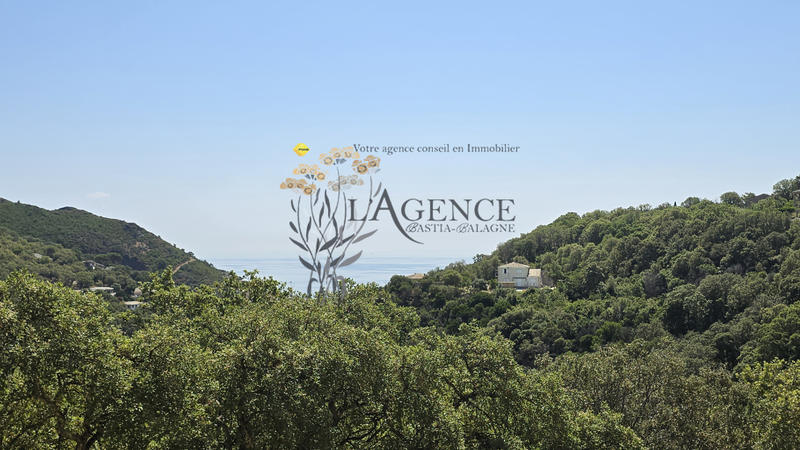 Maison - 210 m² - 6 pièces