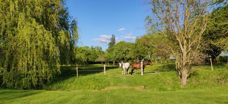 Propriété - 224 m² - 7 pièces