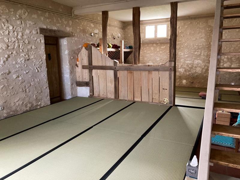 Stage Yoga et Clown contemporain adultes