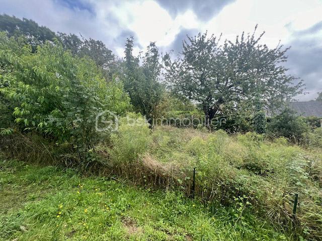 Maison - 62 m² - 3 pièces