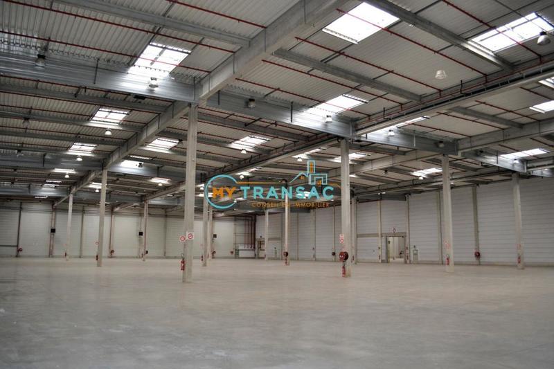 Entrepôt - 32 863 m²