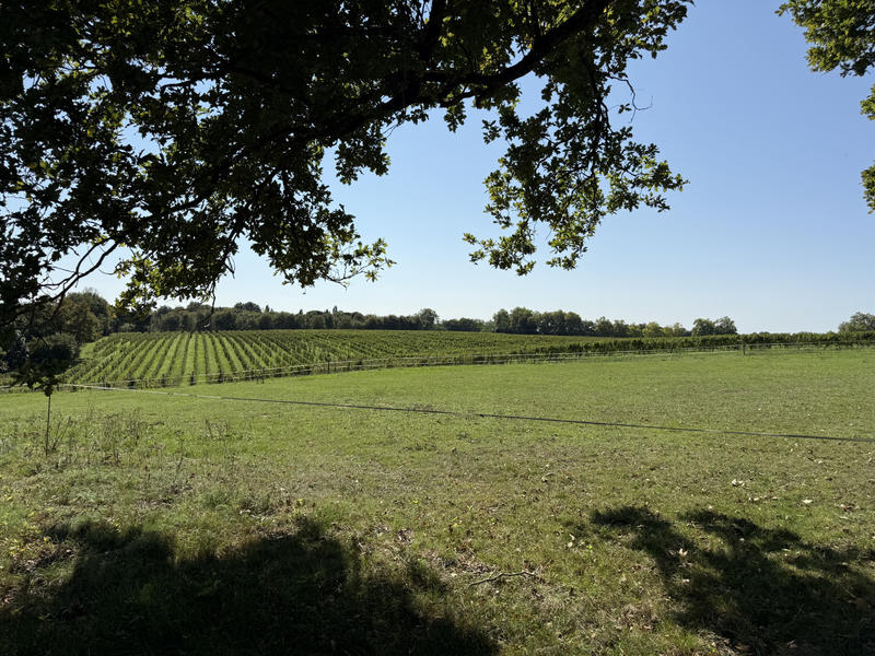 Maison - 152 m² - 13 pièces