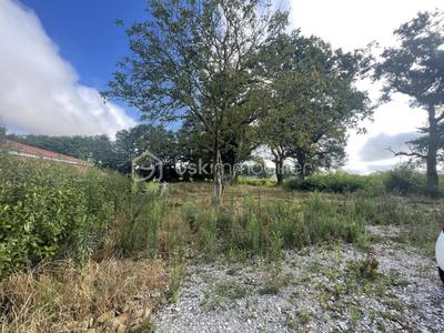 Terrain - 2 811 m²