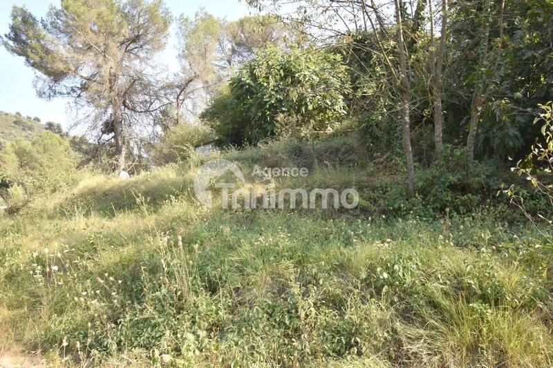 Terrain constructible - 1 490 m²