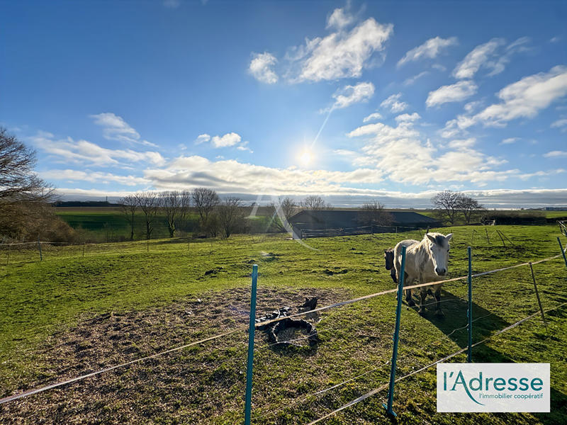 Terrain - 10 000 m²