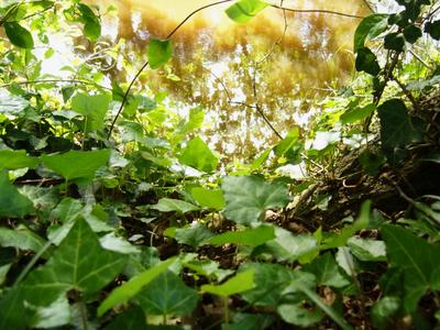 Exposition Parcc : &quot;Miradas al suelo&quot;, salle de projection vidéo