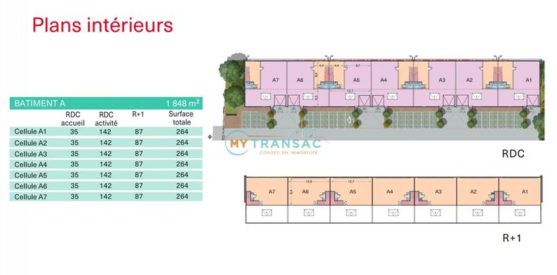 Local d'activité / Entrepôt - 264 m²
