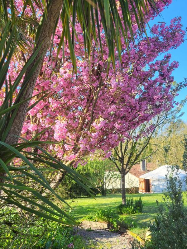 Maison - 320 m² - 11 pièces