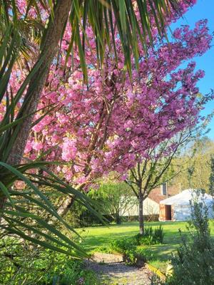 Maison - 320 m² - 11 pièces