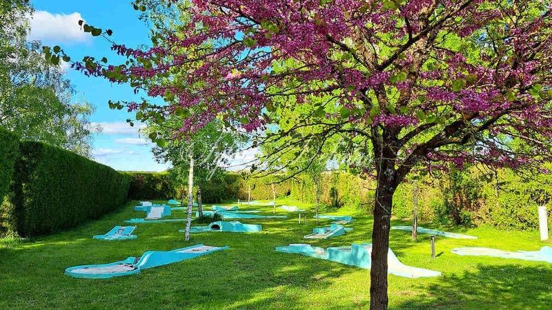 Château - 2 000 m² - 50 pièces