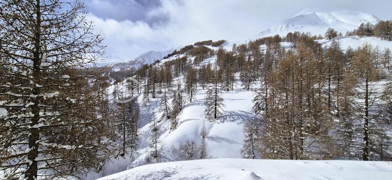 Studio - 31 m² - 1 pièce